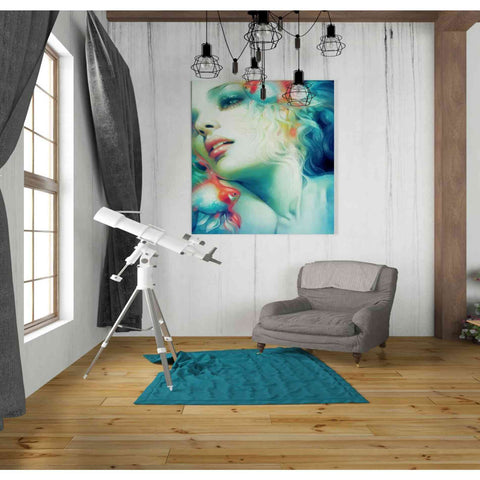 Image of 'Scale' by Anna Dittman, Canvas Wall Art,26 x 30