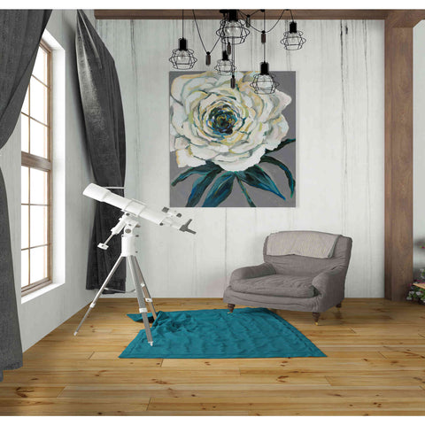 Image of "Rose" by Jeanette Vertentes, Canvas Wall Art,26 x 30