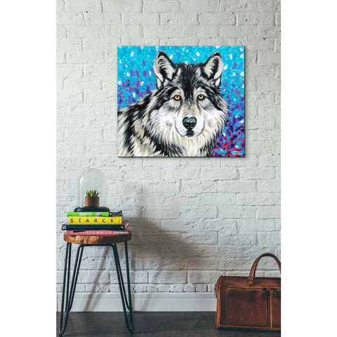 Image of 'Grey Wolf II' by Carolee Vitaletti, Giclee Canvas Wall Art