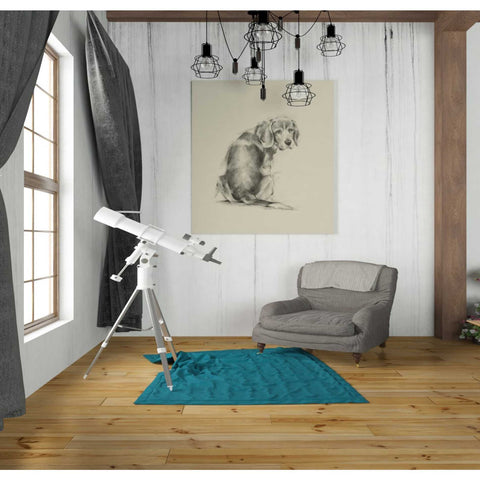 Image of 'Puppy Dog Eyes I' by Ethan Harper Canvas Wall Art,26 x 30