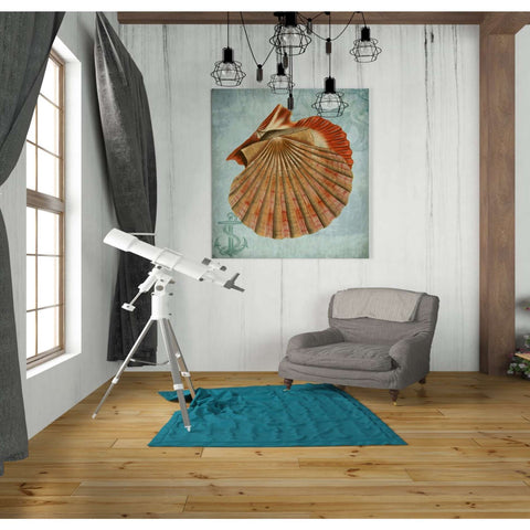 Image of 'Coastal Life Collection 2 c,' by Fab Funky, Giclee Canvas Wall Art