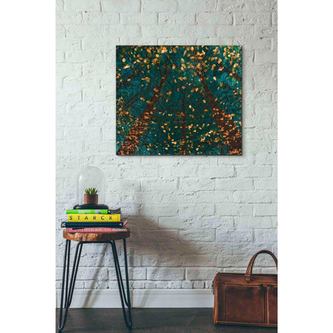 Image of 'Plato's Trees' by Lars van de Goor, Giclee Canvas Wall Art