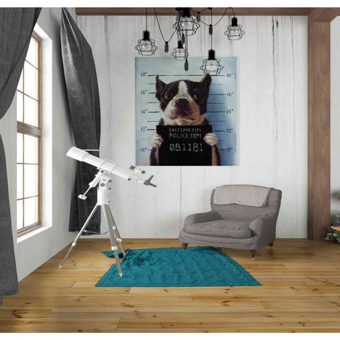 Image of 'Mug Shot' by Lucia Heffernan, Canvas Wall Art,26 x 30