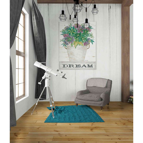 Image of 'Dream Succulents' by Cindy Jacobs, Canvas Wall Art,26 x 34