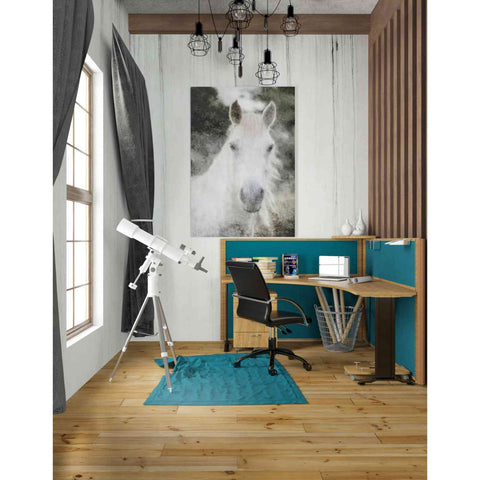 Image of 'White Horse Mystique' by Bluebird Barn, Canvas Wall Art,26 x 40