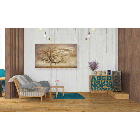 Image of 'Golden Tree' by Lori Deiter, Canvas Wall Art,40 x 26