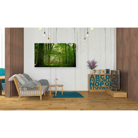 Image of 'Breathe' by Lars van de Goor, Giclee Canvas Wall Art