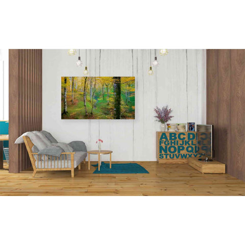 Image of 'Dream of Birches' by Lars van de Goor, Giclee Canvas Wall Art