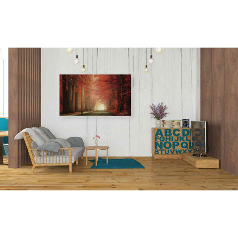 Image of 'Way to Red' by Martin Podt, Canvas Wall Art,40 x 26