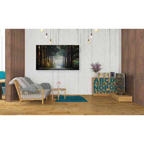 Image of 'Mysterious Roads' by Martin Podt, Canvas Wall Art,40 x 26