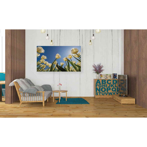 Image of 'Look Up in White' by Martin Podt, Canvas Wall Art,40 x 26