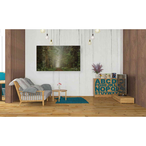 Image of 'Misty Spring Road' by Martin Podt, Canvas Wall Art,40 x 26