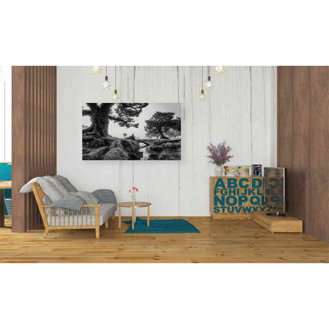 Image of 'Black & White Fanal' by Martin Podt, Canvas Wall Art,40 x 26