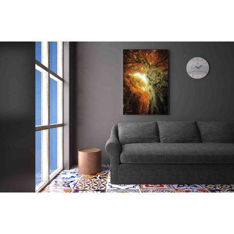 Image of 'Look Up Autumn' by Martin Podt, Canvas Wall Art,26 x 40