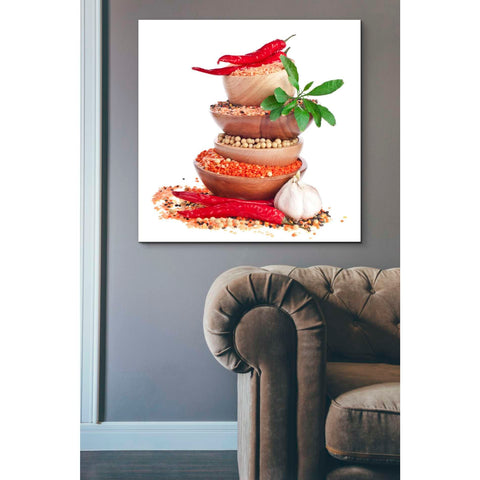 Image of 'Spice of Life' Giclee Canvas Wall Art