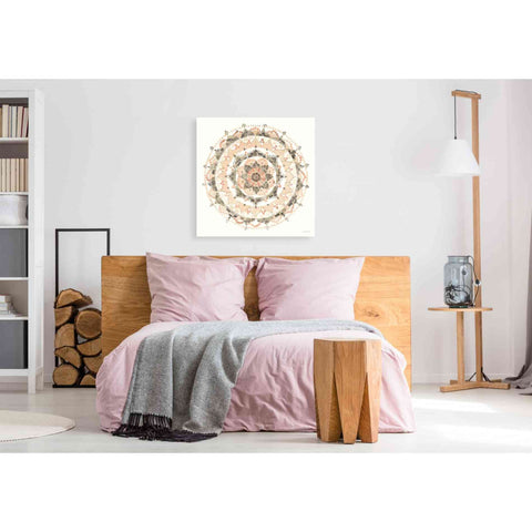 Image of 'Blush Mandala' by Danhui Nai, Canvas Wall Art,37 x 37
