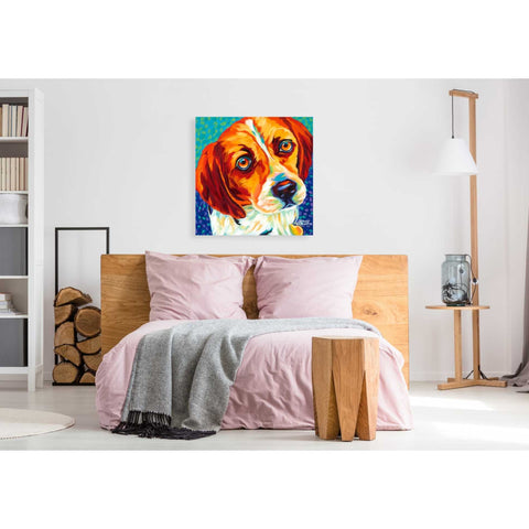 Image of 'Dogs in Color II' by Carolee Vitaletti, Giclee Canvas Wall Art
