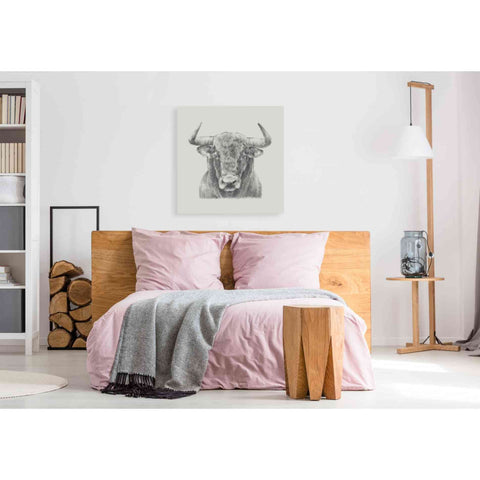 Image of 'Black and White Bull' by Ethan Harper, Canvas Wall Art,37 x 37