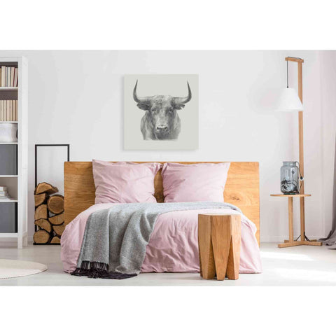 Image of 'Black Bull' by Ethan Harper, Canvas Wall Art,37 x 37