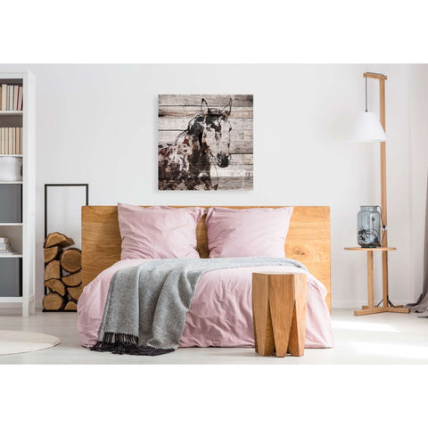 Image of 'Poly 2' by Irena Orlov, Canvas Wall Art,37 x 37