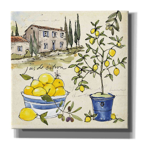 Image of 'Citron III' by Anne Tavoletti, Canvas Wall Art,37 x 37
