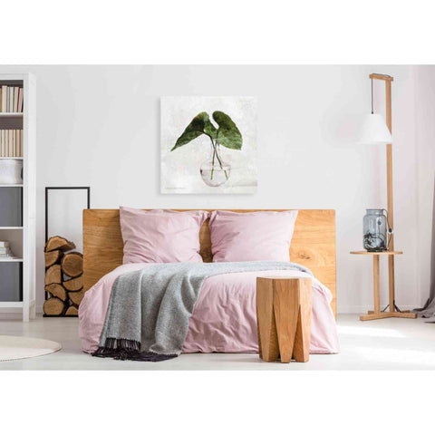 Image of 'Stems in Glass' by Bluebird Barn, Canvas Wall Art,37 x 37