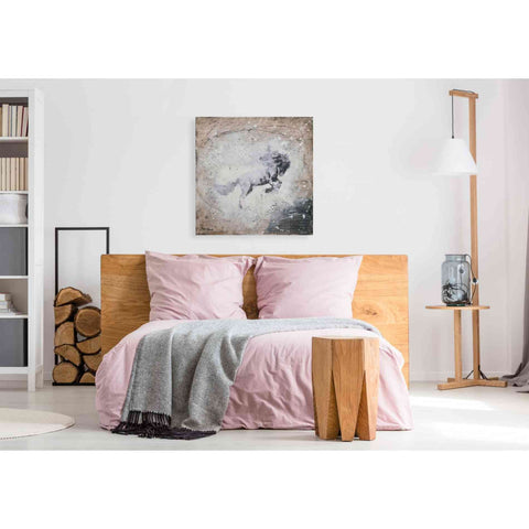 Image of 'Wild Spirit' by Britt Hallowell, Canvas Wall Art,37 x 37