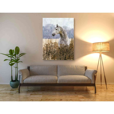 Image of 'Beauty' by Stellar Design Studio, Canvas Wall Art,40 x 54