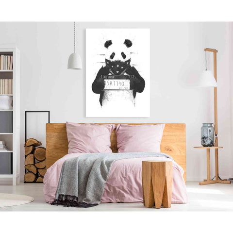Image of 'Bad Panda' by Balazs Solti, Giclee Canvas Wall Art