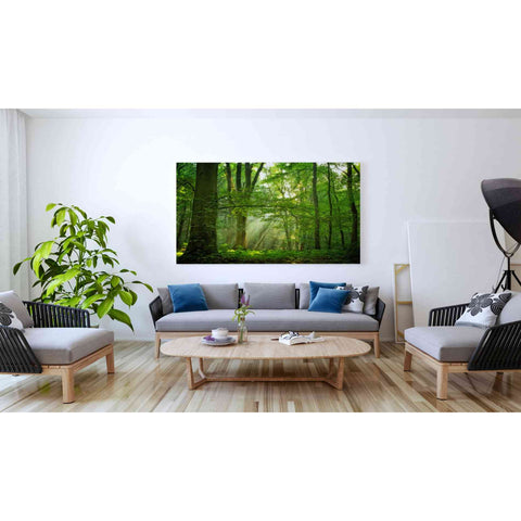 Image of 'Breathe' by Lars van de Goor, Giclee Canvas Wall Art