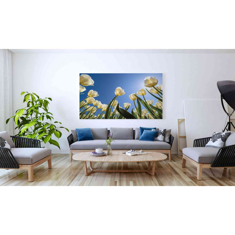 Image of 'Look Up in White' by Martin Podt, Canvas Wall Art,60 x 40