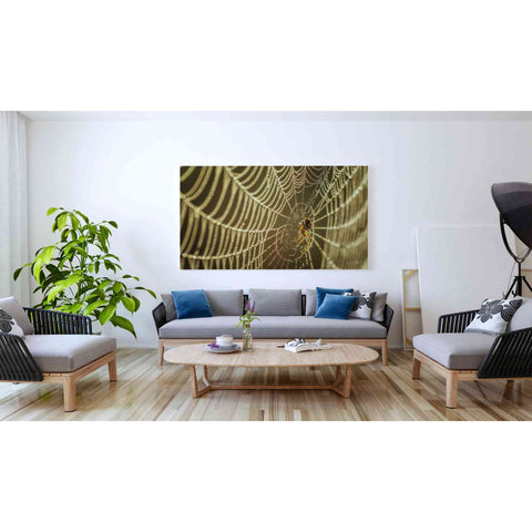 Image of 'The Spider and Her Jewels' by Martin Podt, Canvas Wall Art,60 x 40