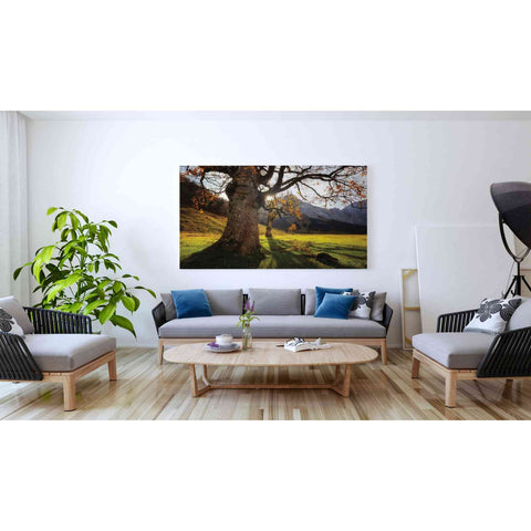 Image of 'The Star' by Martin Podt, Canvas Wall Art,60 x 40