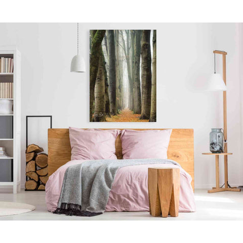 Image of 'Narrow Alley in the Netherlands' by Martin Podt, Canvas Wall Art,40 x 60