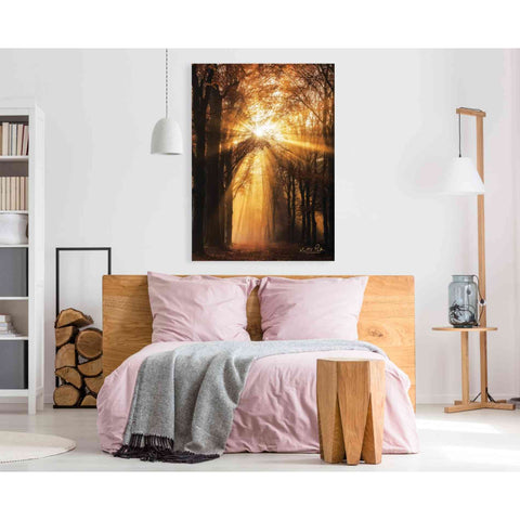 Image of 'Sunburst' by Martin Podt, Canvas Wall Art,40 x 60