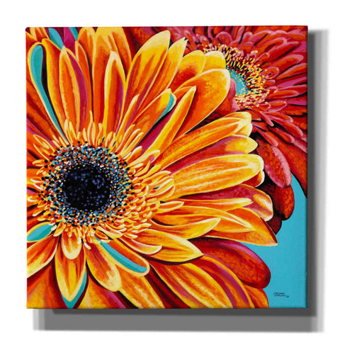 Image of 'Color Bursts II' by Carolee Vitaletti, Giclee Canvas Wall Art