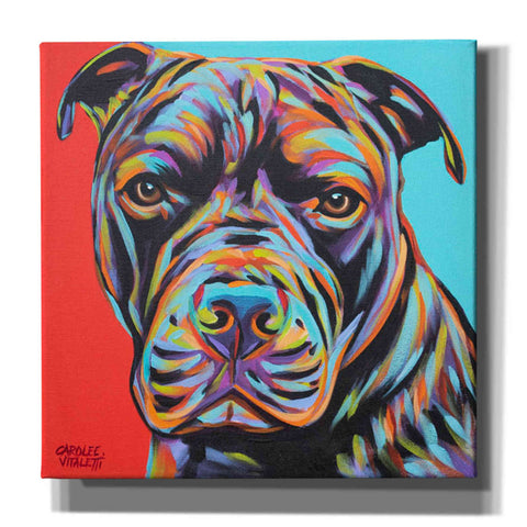 Image of 'Canine Buddy III' by Carolee Vitaletti, Giclee Canvas Wall Art