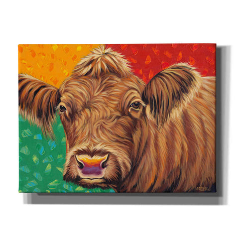Image of 'Colorful Country Cows II' by Carolee Vitaletti, Giclee Canvas Wall Art