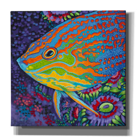 Image of 'Brilliant Tropical Fish I' by Carolee Vitaletti Giclee Canvas Wall Art