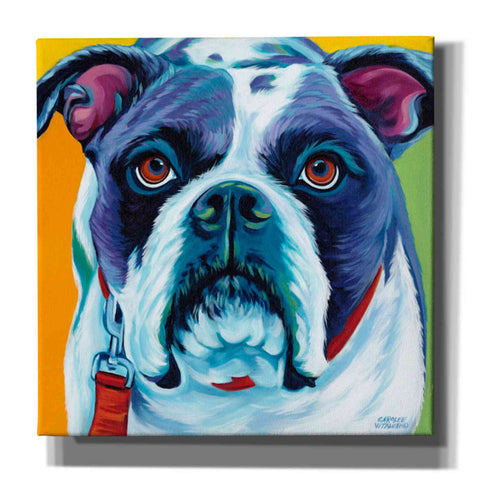 Image of 'Cute Pups II' by Carolee Vitaletti Giclee Canvas Wall Art