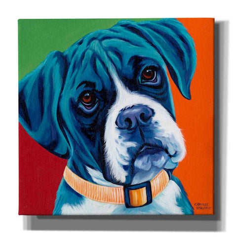 Image of 'Cute Pups I' by Carolee Vitaletti Giclee Canvas Wall Art