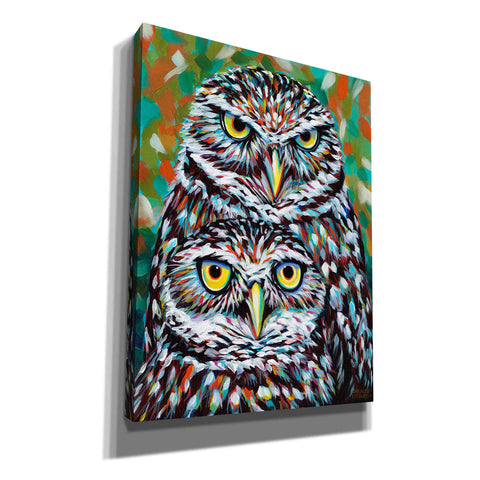 Image of 'Furry Feather Friends I' by Carolee Vitaletti Giclee Canvas Wall Art