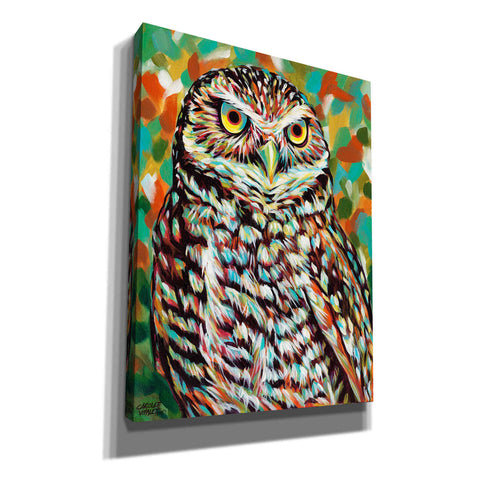 Image of 'Furry Feather Friends II' by Carolee Vitaletti Giclee Canvas Wall Art