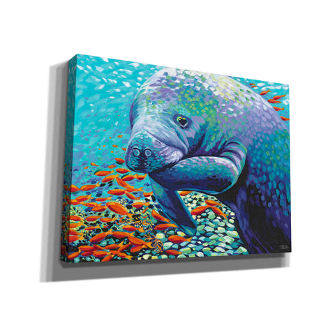 Image of 'Sea Sweetheart II' by Carolee Vitaletti Giclee Canvas Wall Art