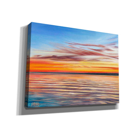 Image of 'Tranquil Sky I' by Carolee Vitaletti Giclee Canvas Wall Art