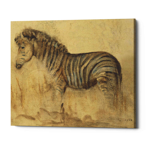 Image of 'Global Zebra Light Crop' by Cheri Blum, Canvas Wall Art
