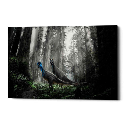 Image of 'Breeding Season' Canvas Wall Art