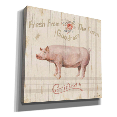 Image of 'Farm Patchwork VI' by Danhui Nai, Canvas Wall Art,Size 1 Sqaure