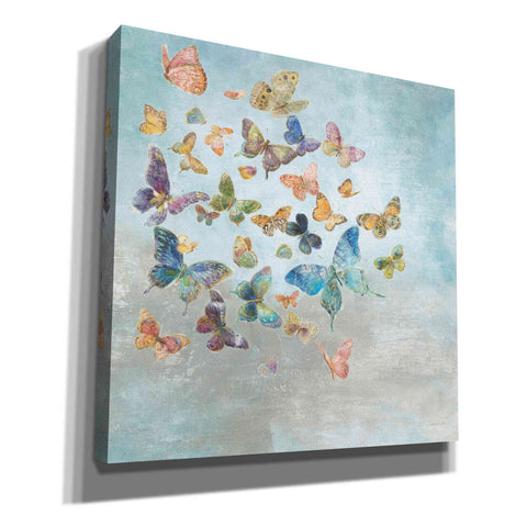 Image of 'Beautiful Butterflies v3 Square' by Danhui Nai, Canvas Wall Art,Size 1 Sqaure