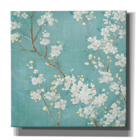 Image of 'White Cherry Blossom II on Blue' by Danhui Nai, Canvas Wall Art